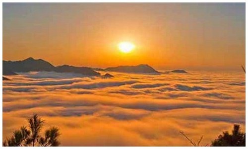 2026最新龙岛异兽正版下载电脑端如何安装，附新手入门流程